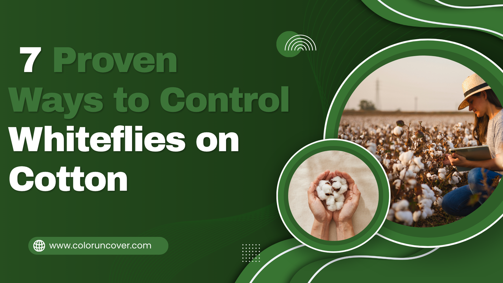You are currently viewing 7 Proven Ways to Control Whiteflies on Cotton That Actually Work in 2026