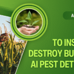 How to Instantly Destroy Bugs With AI Pest Detection?